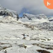 Podcast Dates & Drama