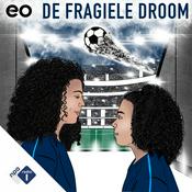 Podcast De Fragiele Droom