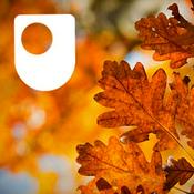 Podcast Ecosystems: the carbon cycle - for iPod/iPhone