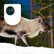 Podcast Evolution - for iPod/iPhone