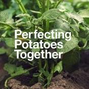 Podcast Perfecting Potatoes Together