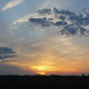 Podcast Fecal Matters