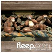 Podcast fleep.com - Deep House for lost souls.