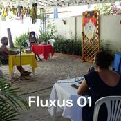 Podcast Fluxus 01 - Percursos Femininos na Arte