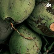 Podcast Garieng Mekingking