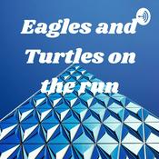 Podcast Eagles and Turtles on the run