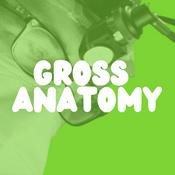 Podcast Gross Anatomy