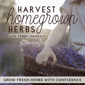Podcast Harvest Homegrown Herbs | Herb Garden, Seed Starting, Garden Planning, Herbal Tea, Container Gardening