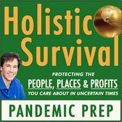 Podcast Holistic Survival Show - Economic Crisis