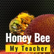 Podcast Honey Bee My Teacher