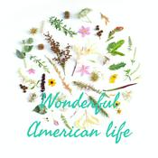 Podcast Wonderful American life