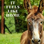 Podcast It Feels Like Home
