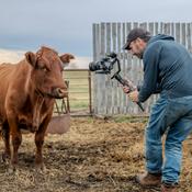 Kerry Mann: Carnivore Saves Lives
