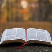 Podcast KJV Bible Chronological Daily Reading