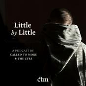 Podcast Little by Little