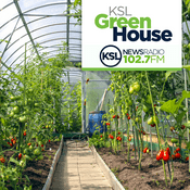 Podcast KSL Greenhouse