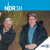 Podcast Kunst mich mal! - Kulturpodcast von NDR Schleswig-Holstein