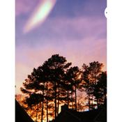 Podcast Life Experiences/ Lessons🏵