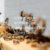Podcast Living with wildlife:The disappearance of the honey bees