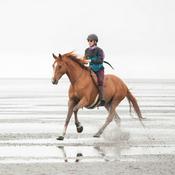 Podcast Making Milestones