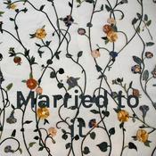 Podcast Married to a sociopathic narcissist My story