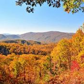 Podcast Memoirs of a farmer boy. 
Wellness; Physical, Financial, Environmental, Estate/Trust