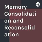 Podcast Memory Consolidation and Reconsolidation