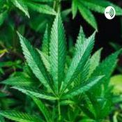 Podcast Michalis Podcasts