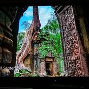 Podcast My Secret Place To The Secret Place Palms 91