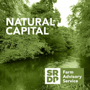 Podcast Natural Capital