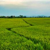 Podcast The Futureproof Way