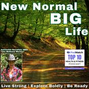 Podcast New Normal Big Life: Functional Medicine and Holistic Health for Veterans, First Responders, and Caregivers