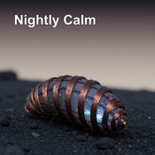 Podcast Nightly Calm | Evening Rituals for Better Sleep