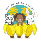 Podcast Not So Asian Asians