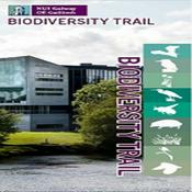 Podcast NUI Galway Biodiversity Trail