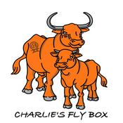 Podcast Old Bull/ Young Bull: The Charlie's Fly Box Podcast