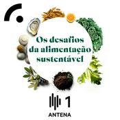 Podcast Os Desafios da Alimentação Sustentável
