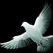 Podcast Overflow sermon 8-17-25