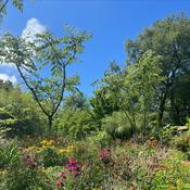 Podcast Patreon Radio