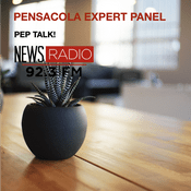 Podcast Pensacola Expert Panel
