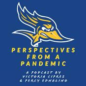 Podcast Perspectives from a Pandemic