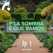 Podcast P'la Sombra é Que Vamos