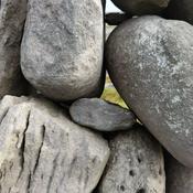 Podcast Plé agus Spraoi