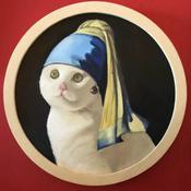 Podcast 浅谈生活