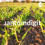 Podcast quantomdigital