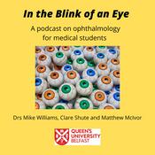 Podcast Queen's University Belfast - In the Blink of an Eye