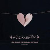 Podcast Quran Karim with Persian Translation - Reciter: Shatry| قرآن کریم همراه با ترجمه فارسی - تلاوت استاد شاطری