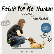 Podcast Fetch for Me, Human