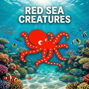 Podcast Red Sea Creatures Podcast