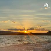 Podcast Regina’s Playbook : How to navigate life with mental illness